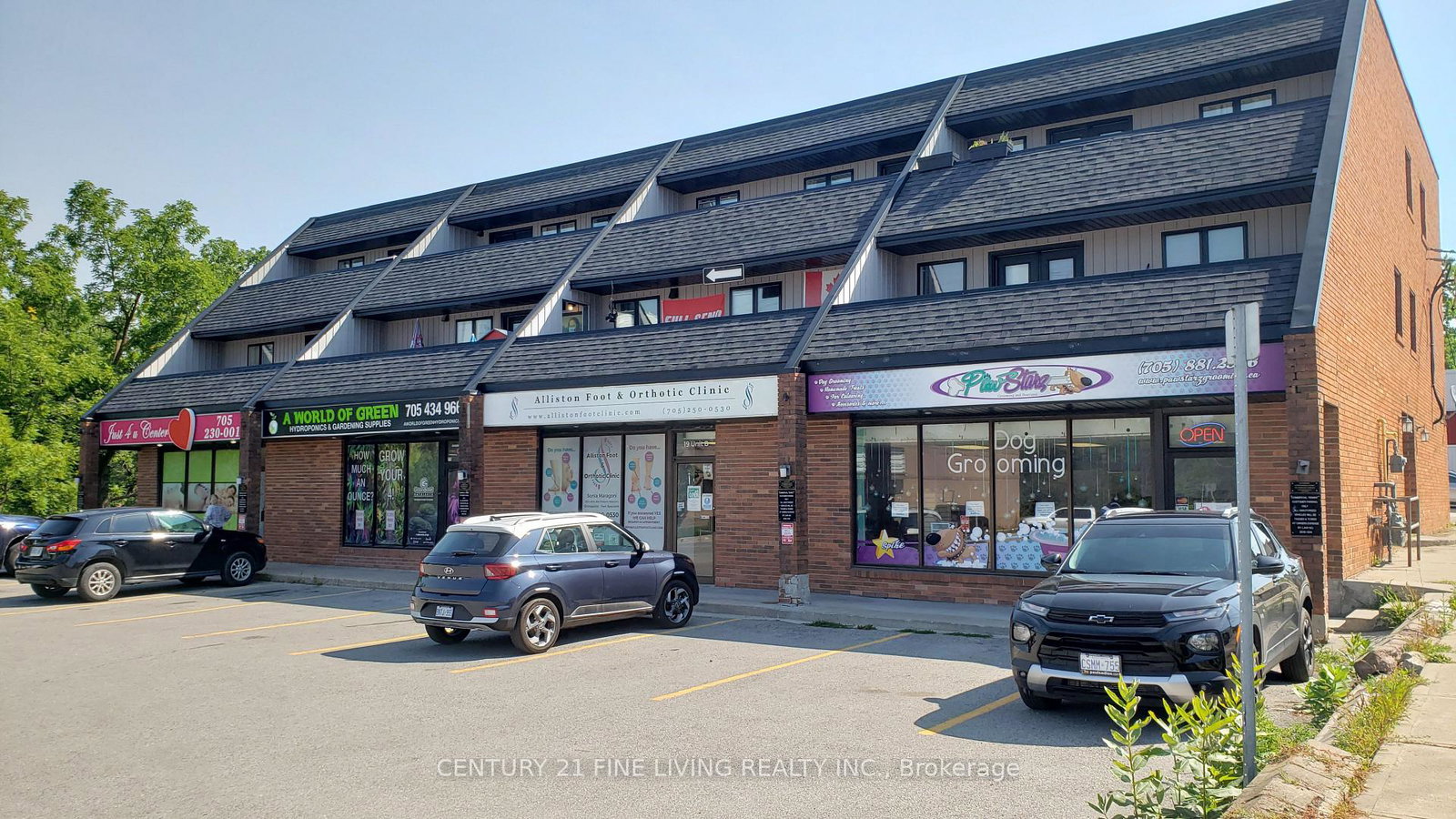 19-church-street-n-new-tecumseth-ontario-n12547308