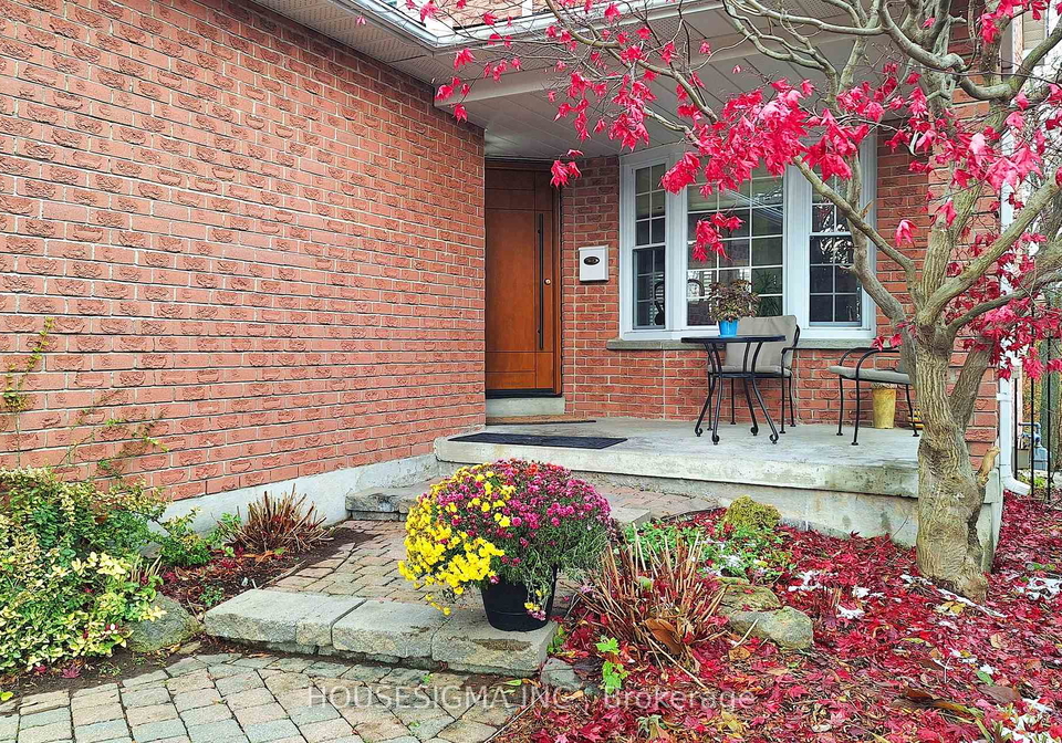 4-mendys-forest-aurora-ontario-n12557704
