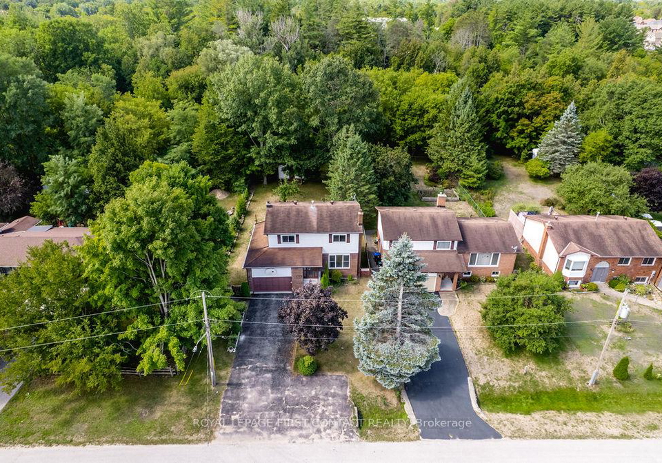 111-graham-street-essa-ontario-n12563722