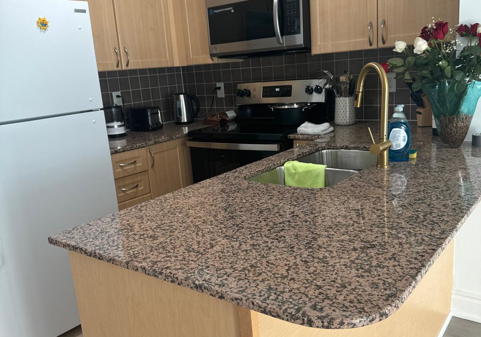 30-clegg-road-markham-ontario-n12569944