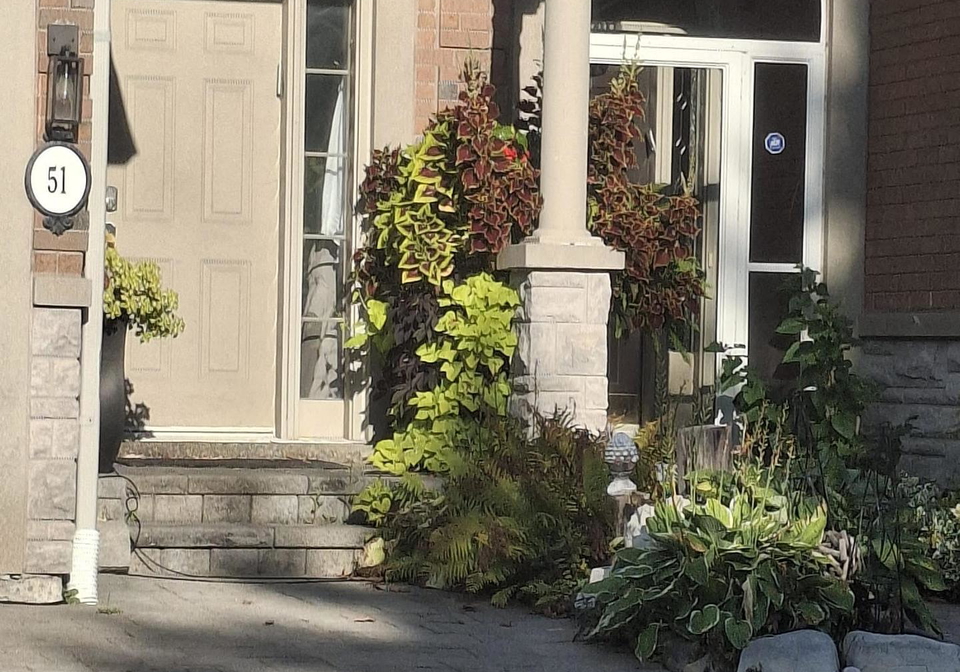 51-abbeywood-gate-w-vaughan-ontario-n12571142