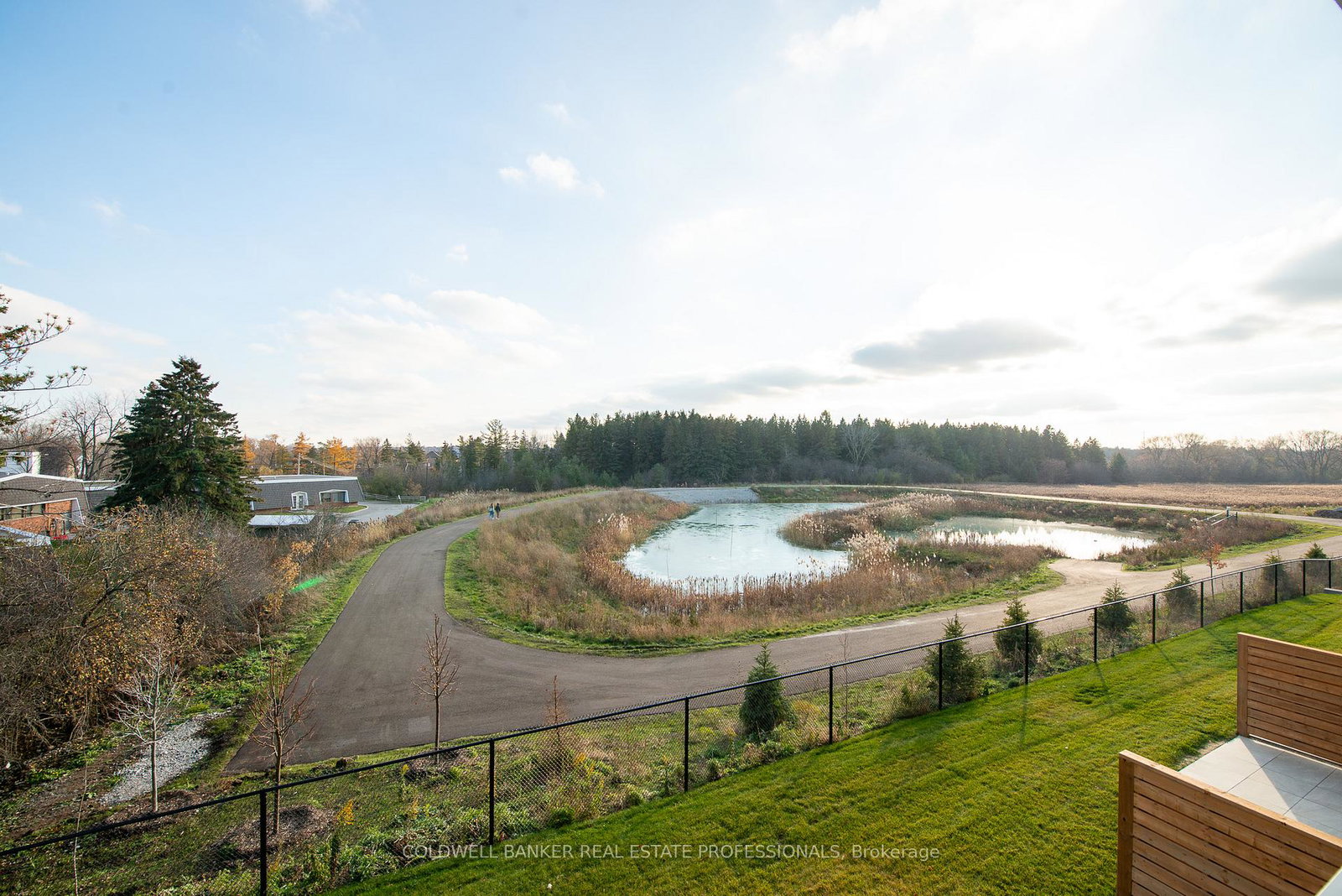 11-walder-lane-richmond-hill-ontario-n12571216