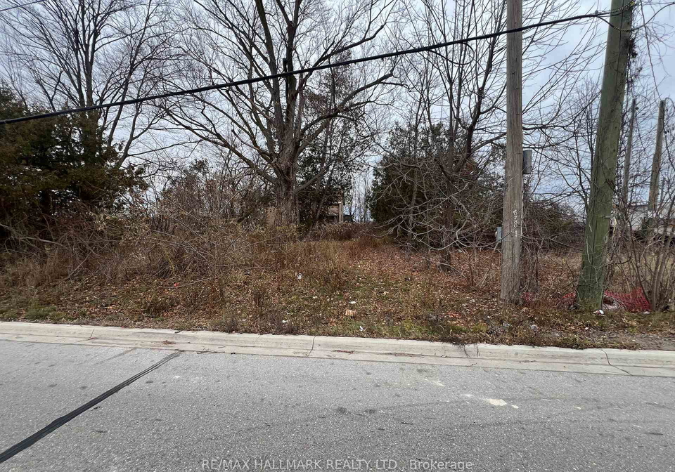 36-church-street-georgina-ontario-n12579092