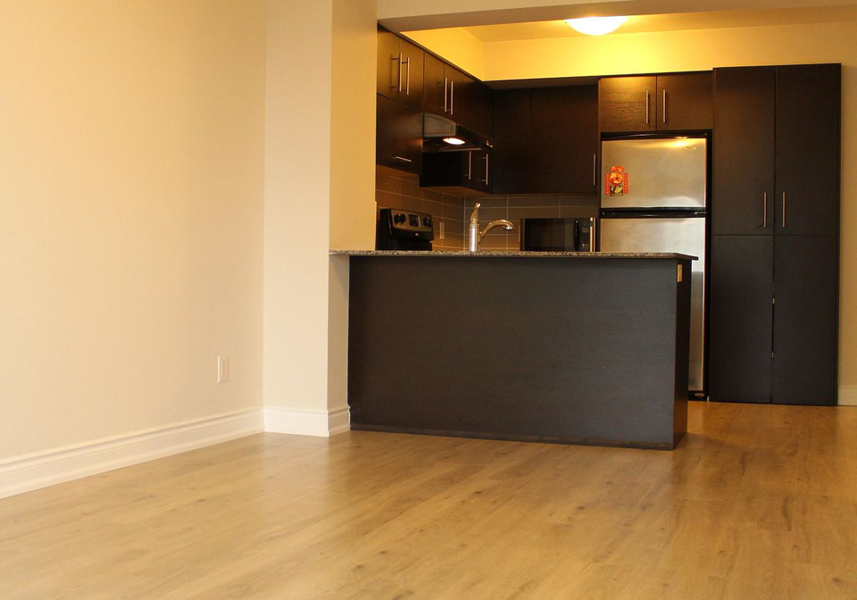 233-south-park-road-markham-ontario-n12592218