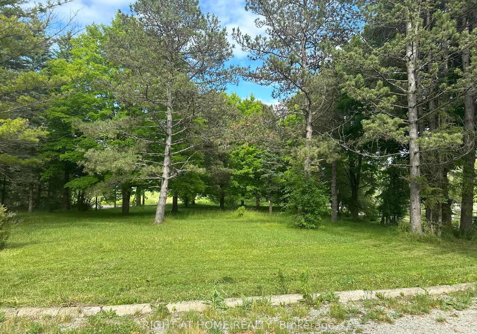 17400-n-10th-concession-n-king-ontario-n12599600