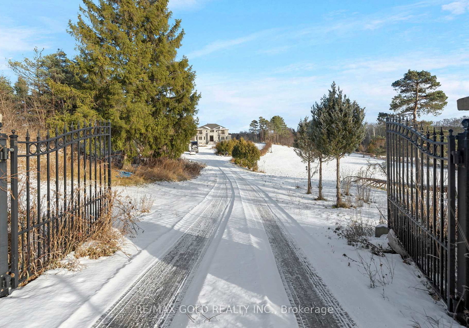 1985-county-road-50-adjala-tosorontio-ontario-n12614164