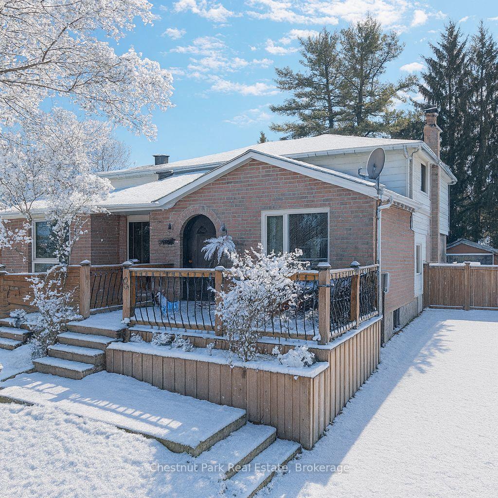 50-stewart-avenue-new-tecumseth-ontario-n12627478