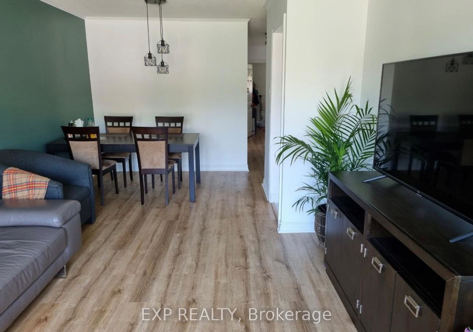 256-silverbirch-drive-newmarket-ontario-n12627610