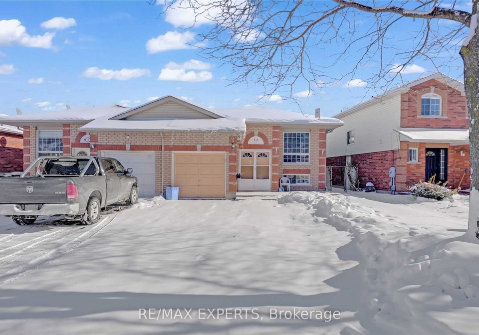 17-d-a-jones-avenue-new-tecumseth-ontario-n12632878