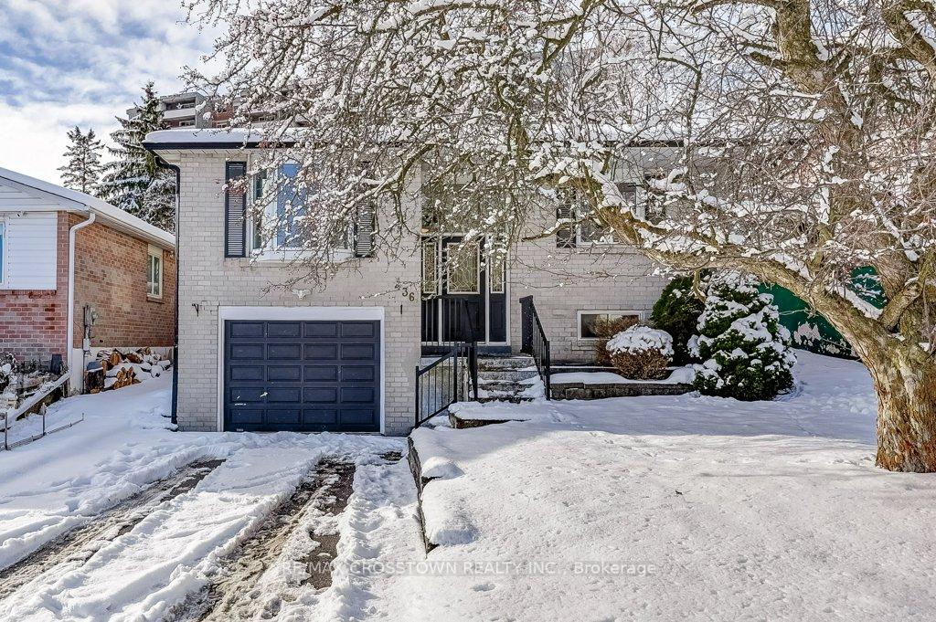436-dixon-boulevard-newmarket-ontario-n12633314