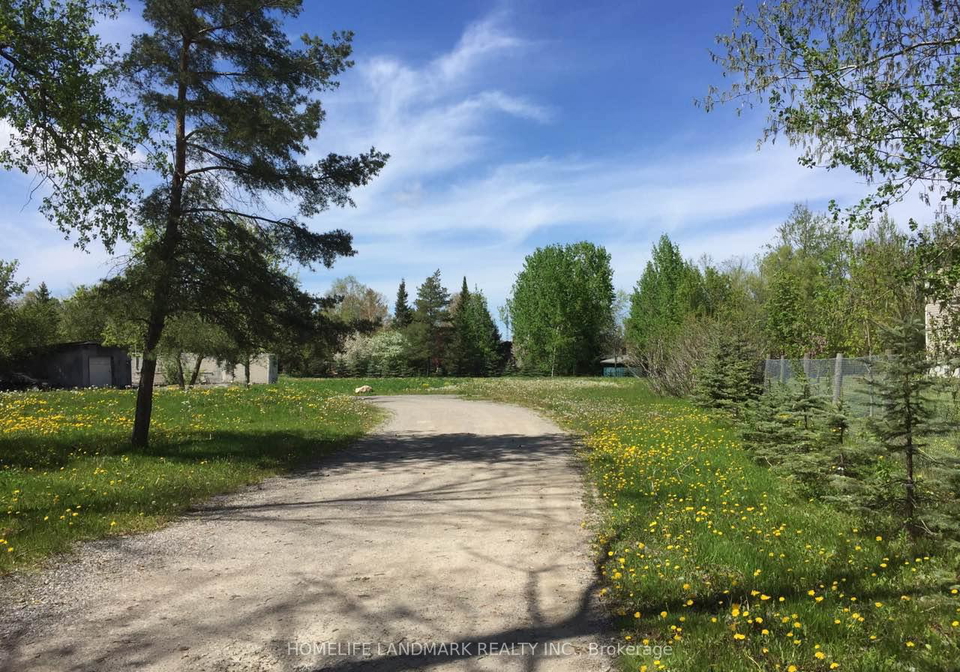 3358-ravenshoe-road-georgina-ontario-n12642494