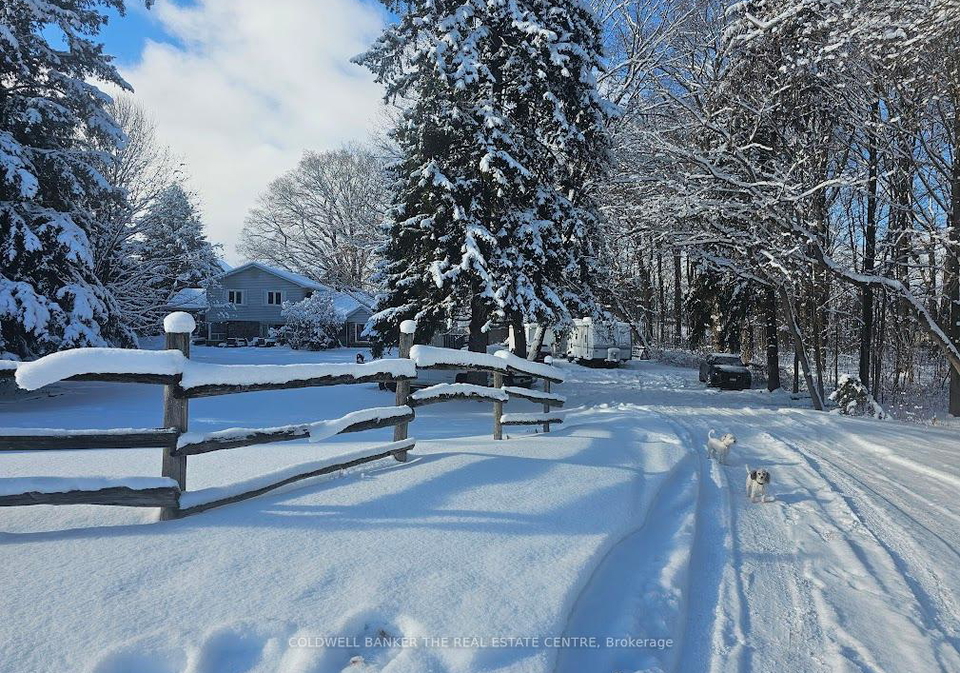 158-samuel-lount-road-east-gwillimbury-ontario-n12656364