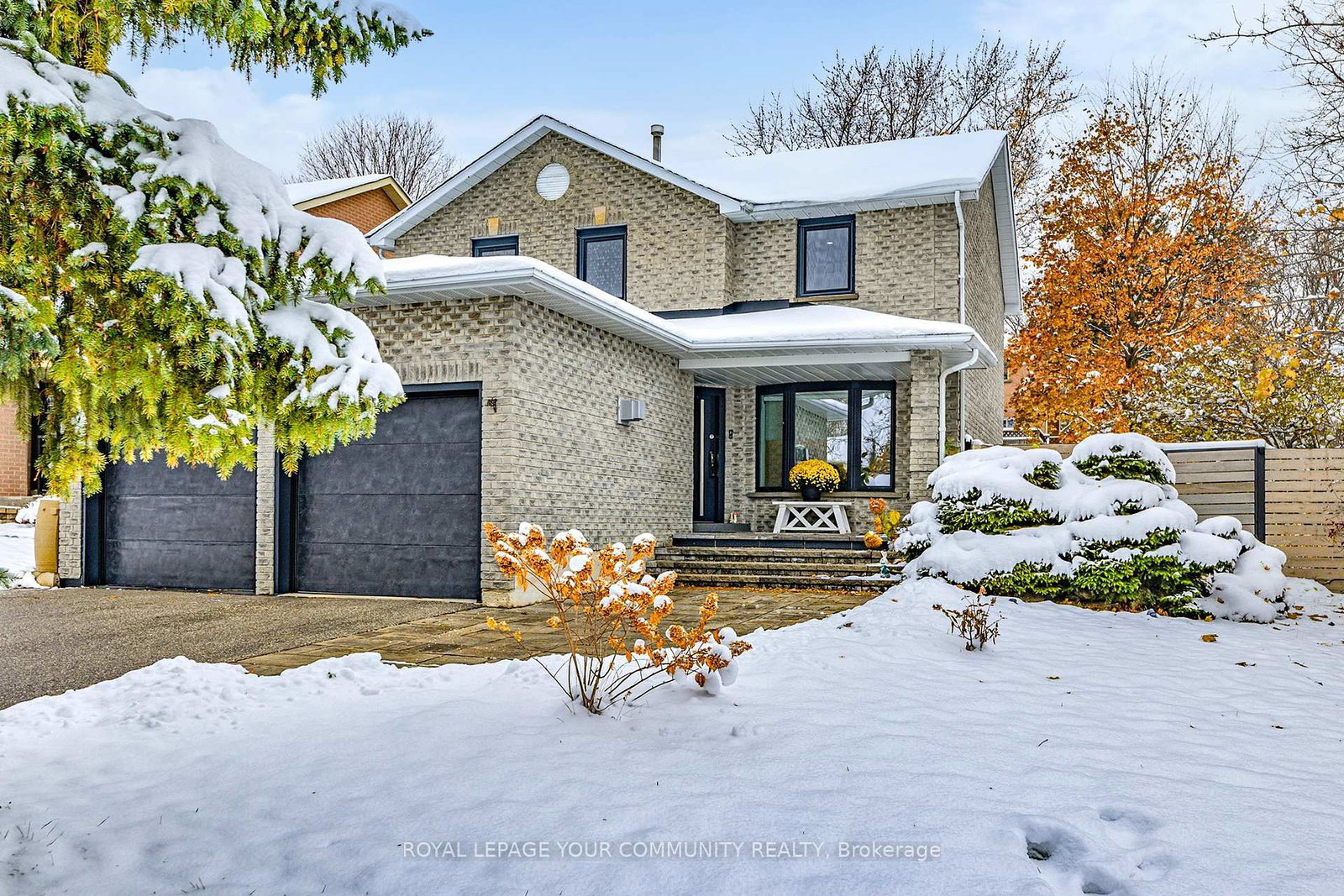 1-mendys-forest-aurora-ontario-n12660878