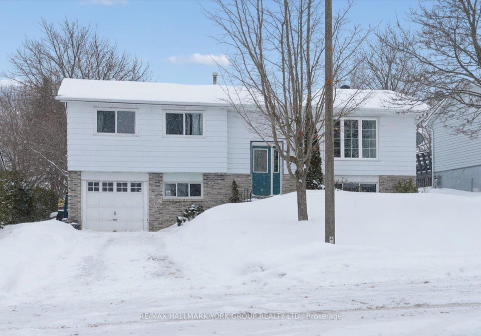 208-park-street-brock-ontario-n12663510
