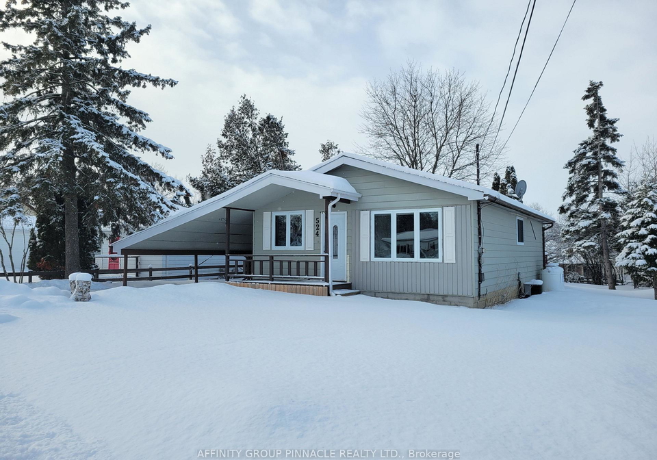 524-sarah-street-brock-ontario-n12668256