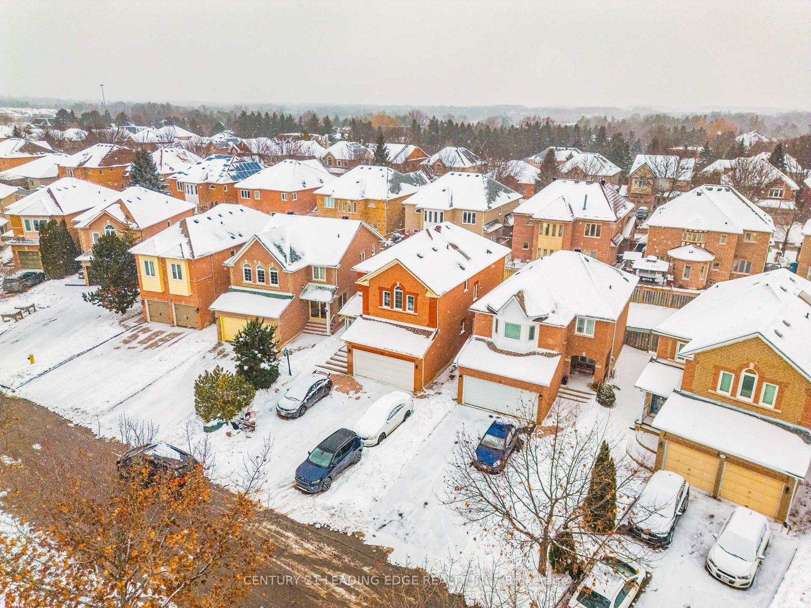81-rushmore-court-markham-ontario-n12668286