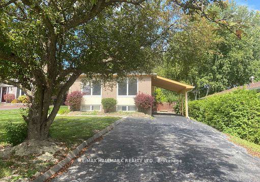 331-roywood-crescent-newmarket-ontario-n12669246