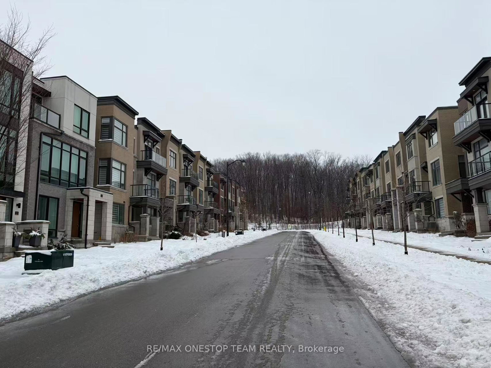 20-carrville-woods-circle-vaughan-ontario-n12674724