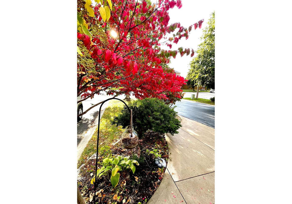 31-giotto-crescent-sw-vaughan-ontario-n12679726