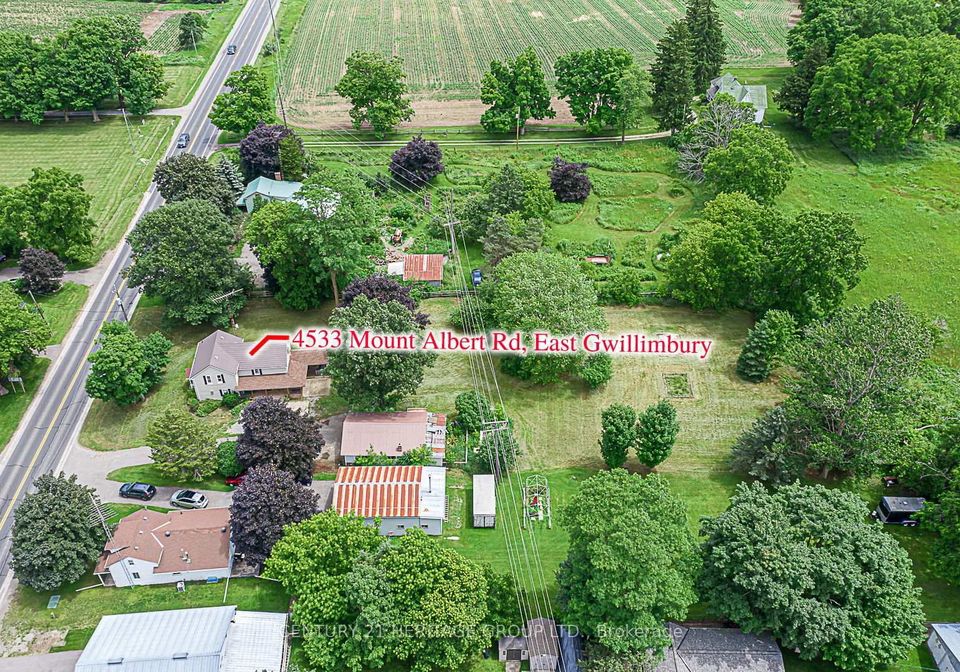 4533-mount-albert-road-east-gwillimbury-ontario-n12701728