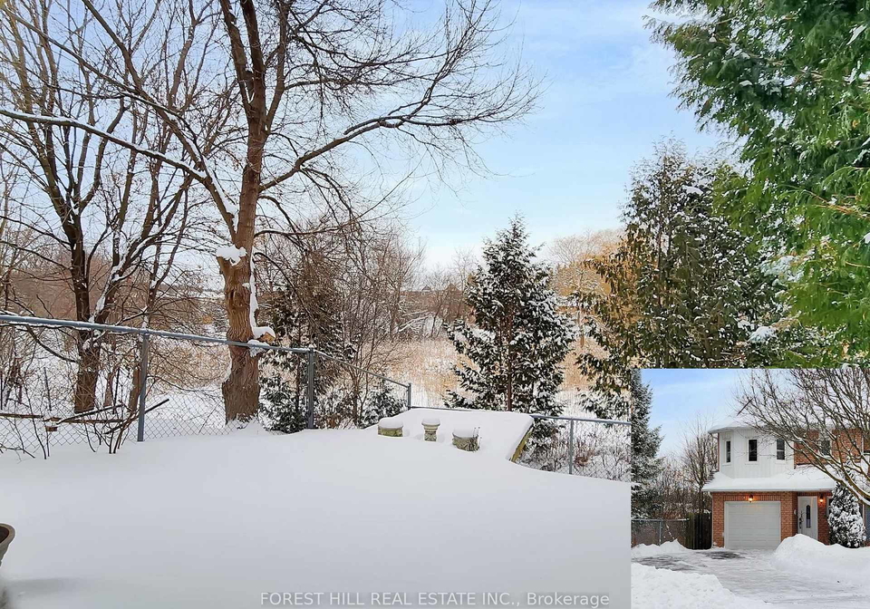 16-royal-cedar-court-east-gwillimbury-ontario-n12707514
