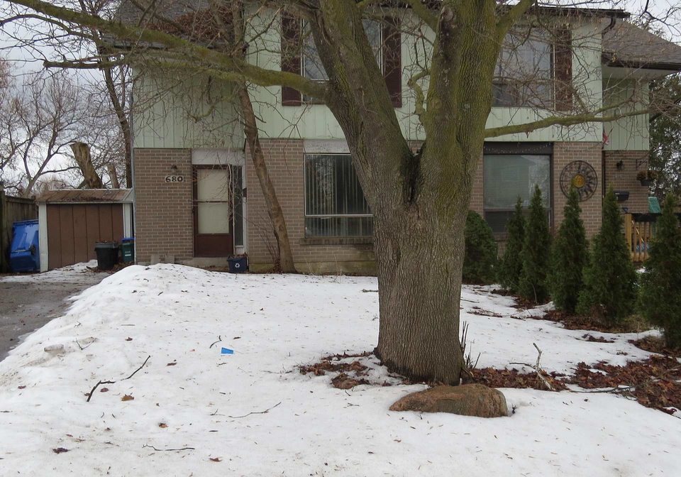 680-elgin-street-newmarket-ontario-n12708936