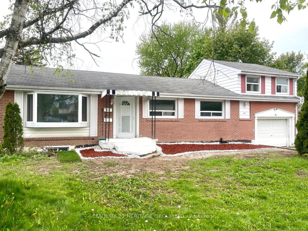 262-scott-avenue-newmarket-ontario-n12724768