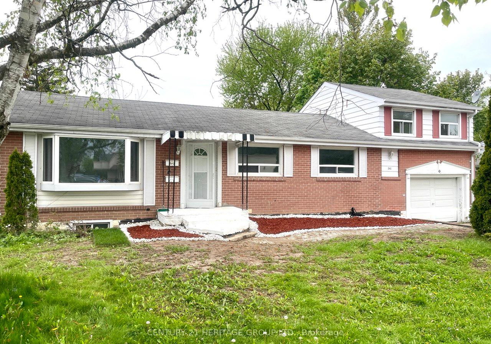 262-scott-avenue-newmarket-ontario-n12724768