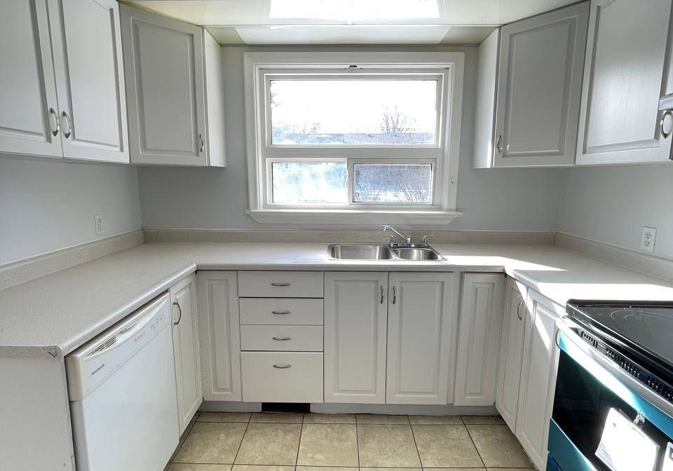 262-scott-avenue-newmarket-ontario-n12724768