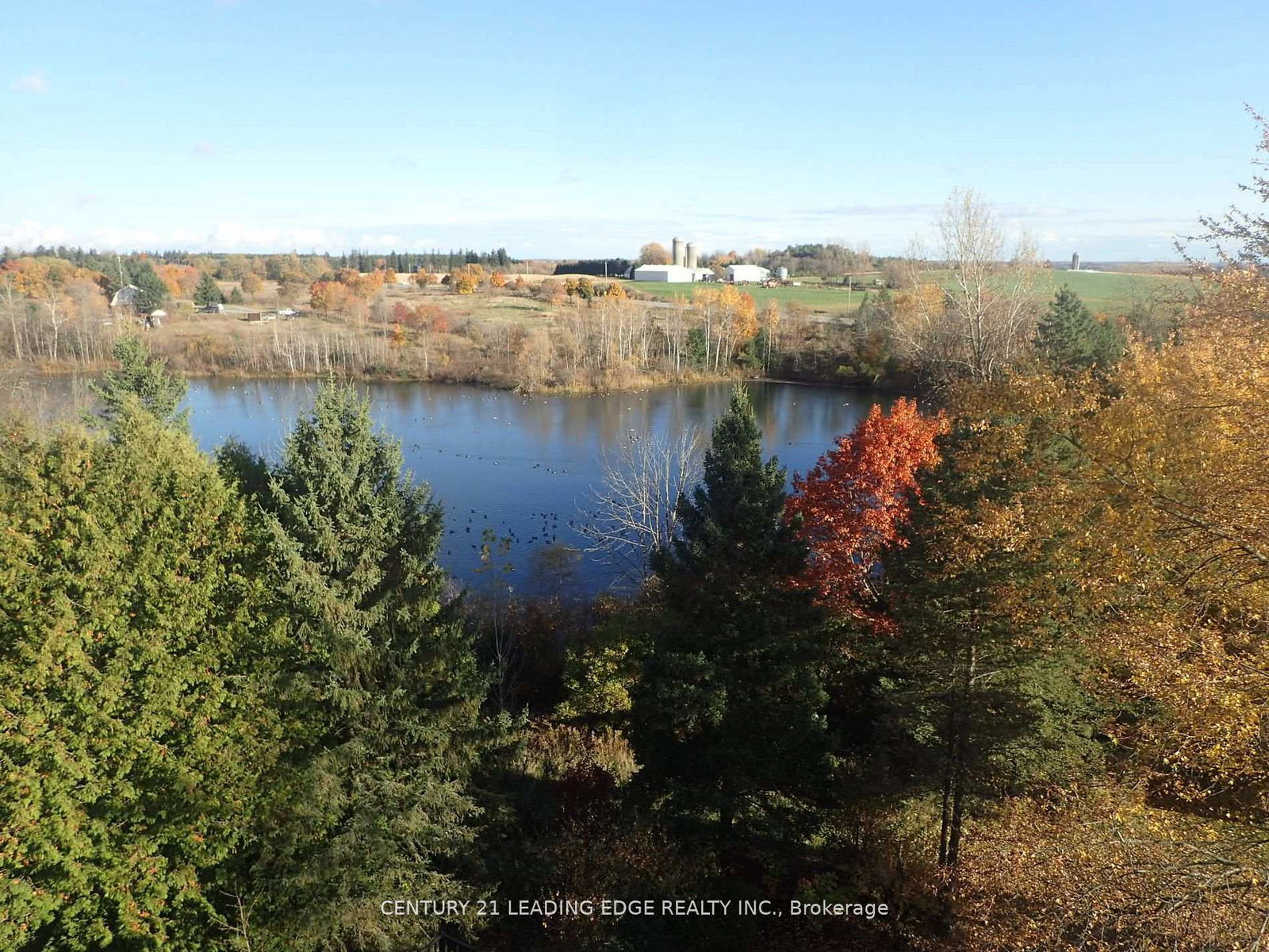 3536-bloomington-road-whitchurch-stouffville-ontario-n12729794