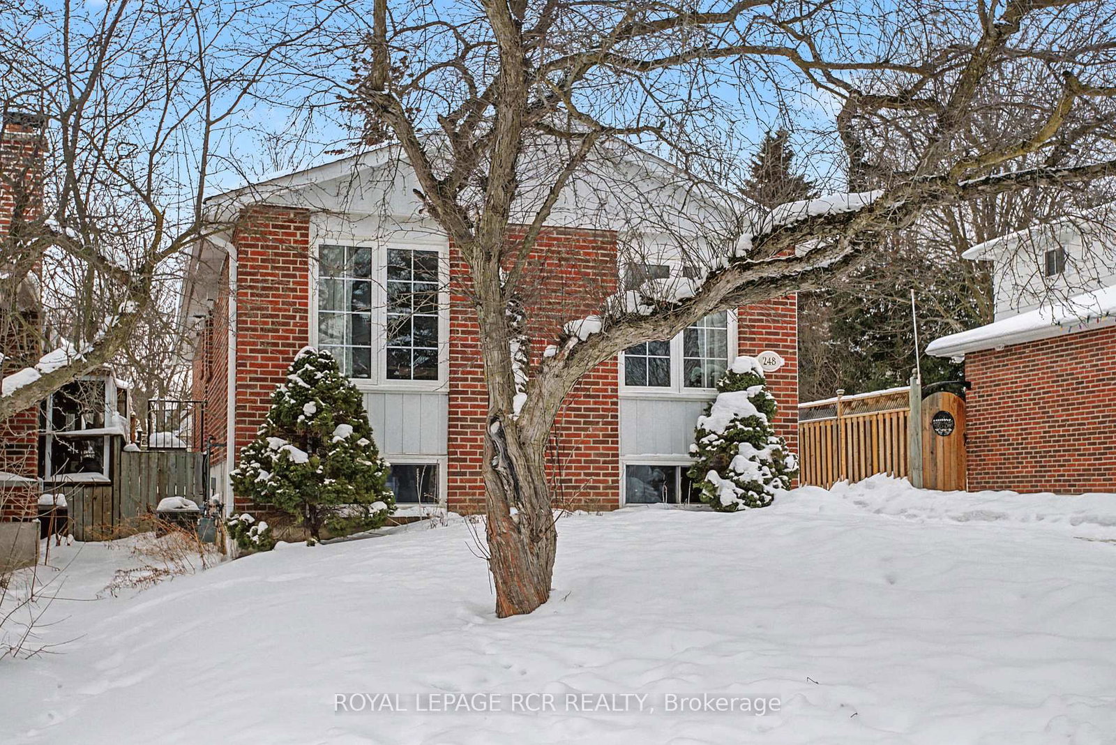 248-talbot-crescent-newmarket-ontario-n12750674