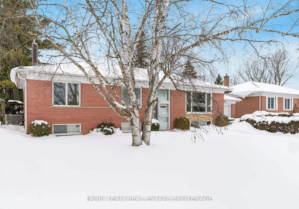 96-william-street-new-tecumseth-ontario-n12752744