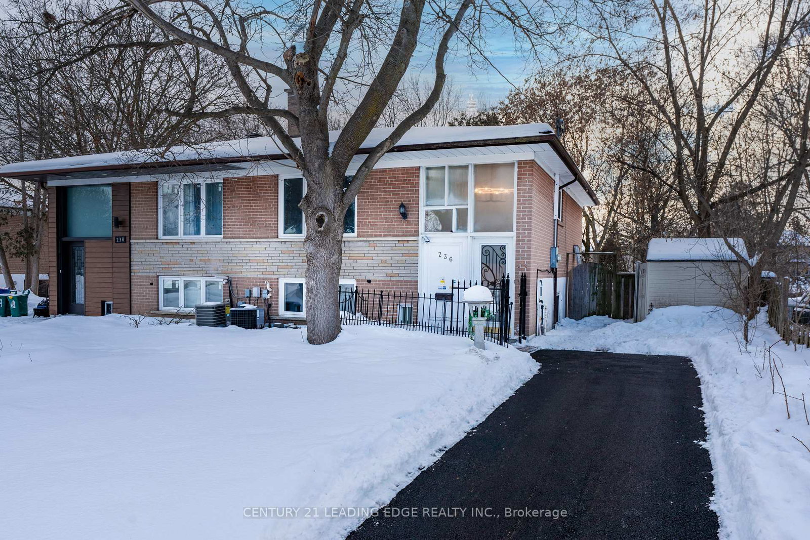 236-cedar-avenue-richmond-hill-ontario-n12764038