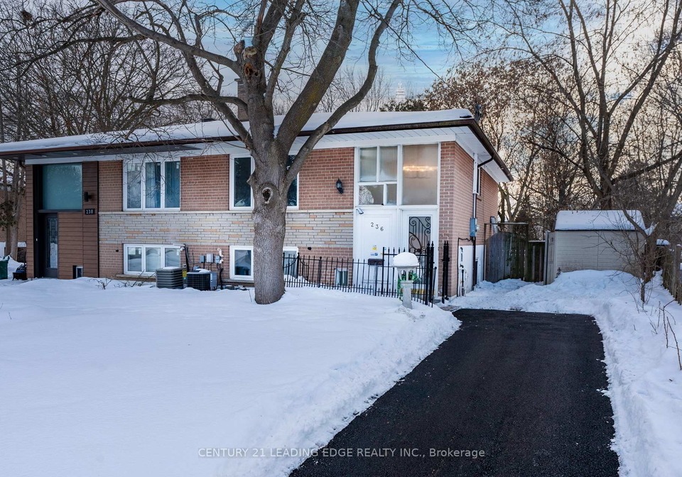 236-cedar-avenue-richmond-hill-ontario-n12764038