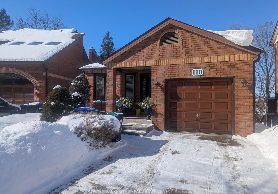 110-riverview-road-new-tecumseth-ontario-n12772856