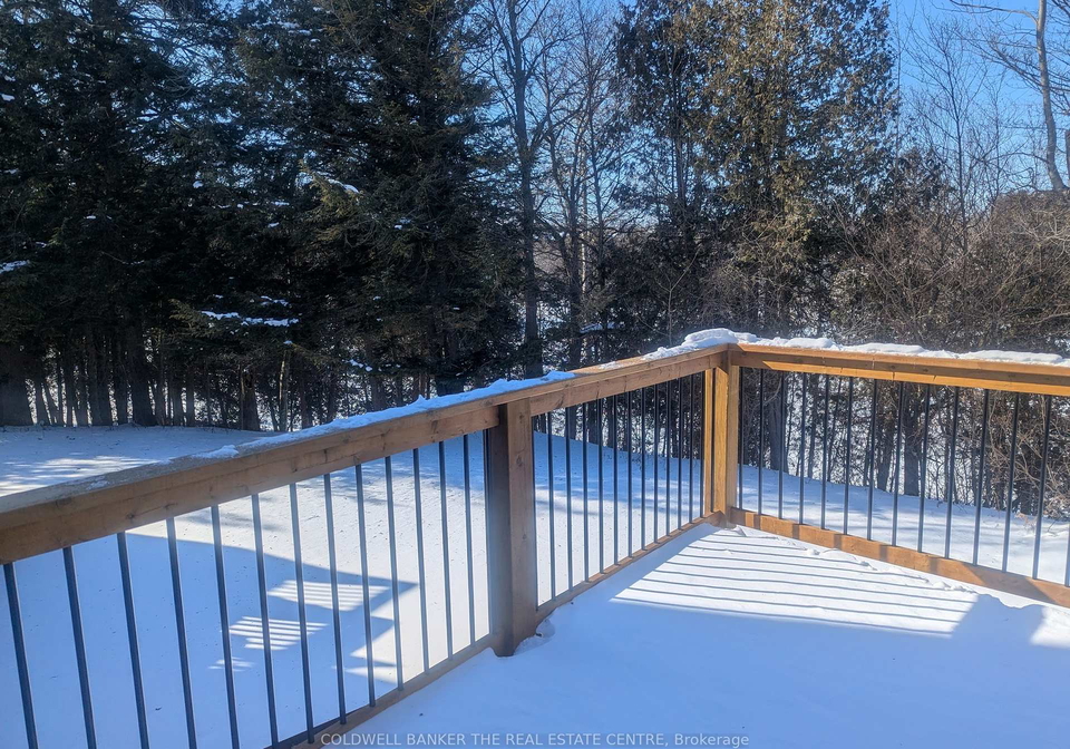 110-riverview-road-new-tecumseth-ontario-n12772856