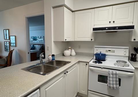 3-ellesmere-street-richmond-hill-ontario-n12777106