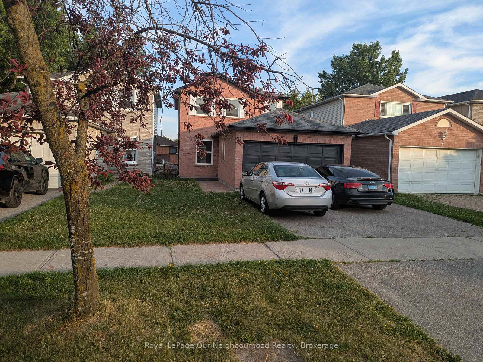 31-bingham-street-richmond-hill-ontario-n12788246