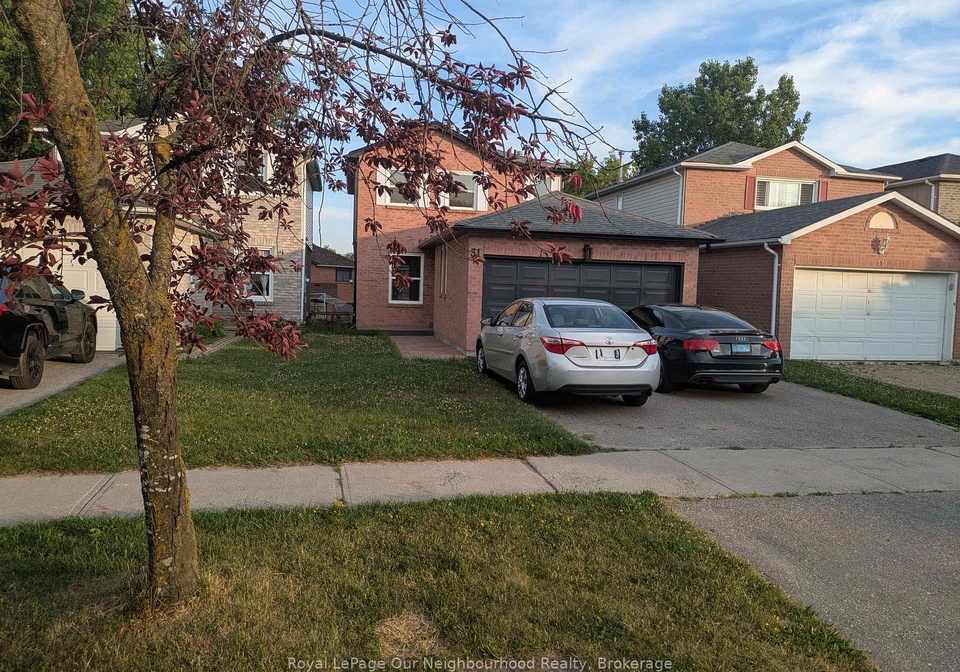 31-bingham-street-richmond-hill-ontario-n12788246
