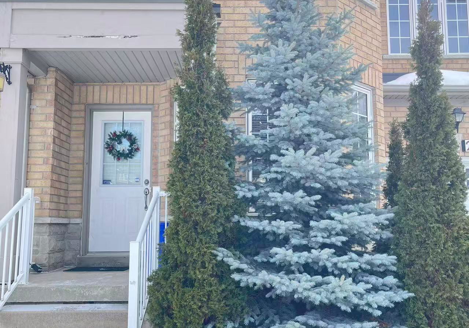 27-silver-linden-drive-richmond-hill-ontario-n12800922