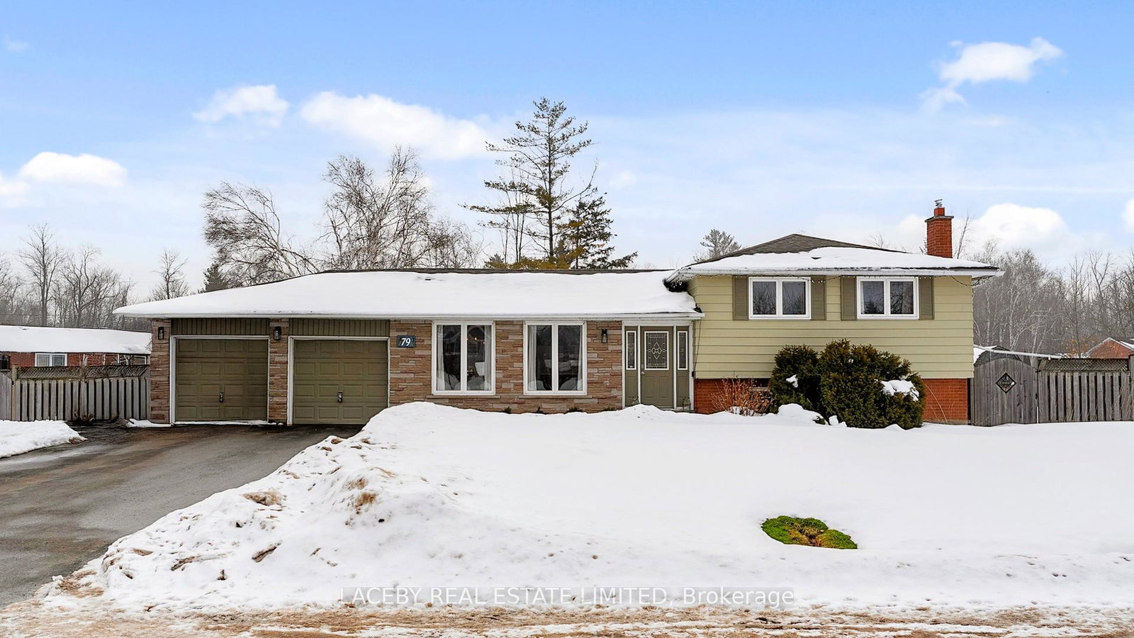 79-douglas-street-georgina-ontario-n12801228
