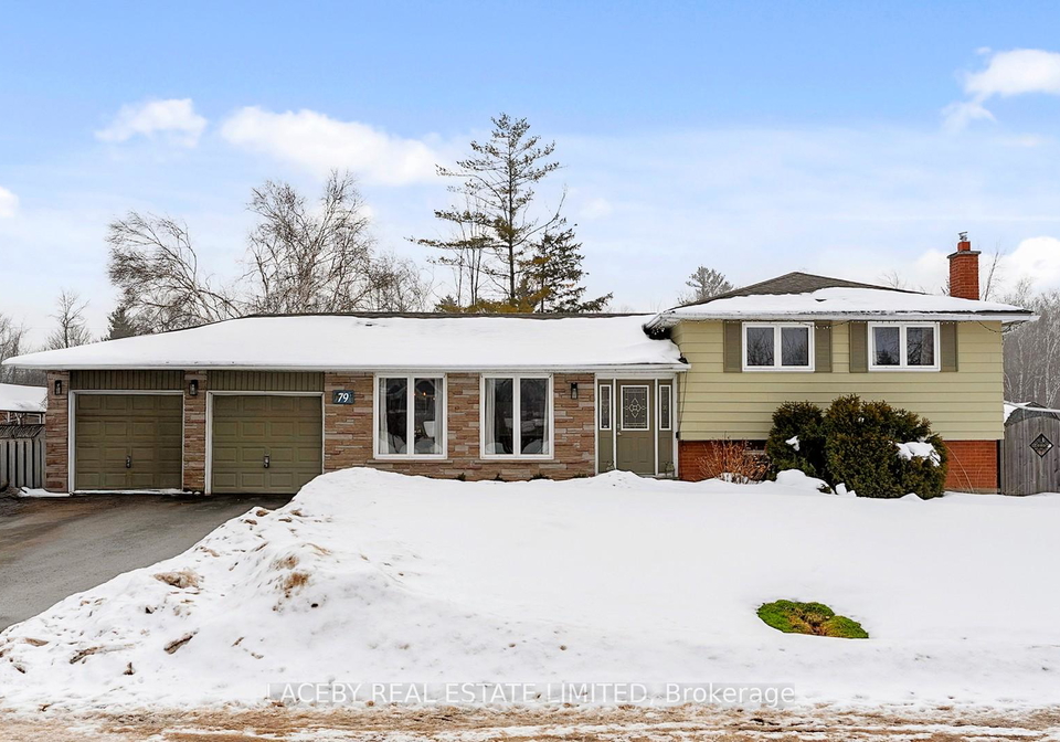 79-douglas-street-georgina-ontario-n12801228