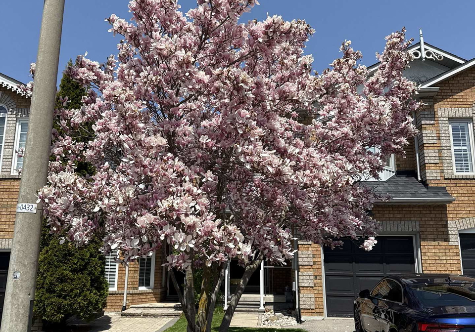 122-downey-circle-aurora-ontario-n12811428