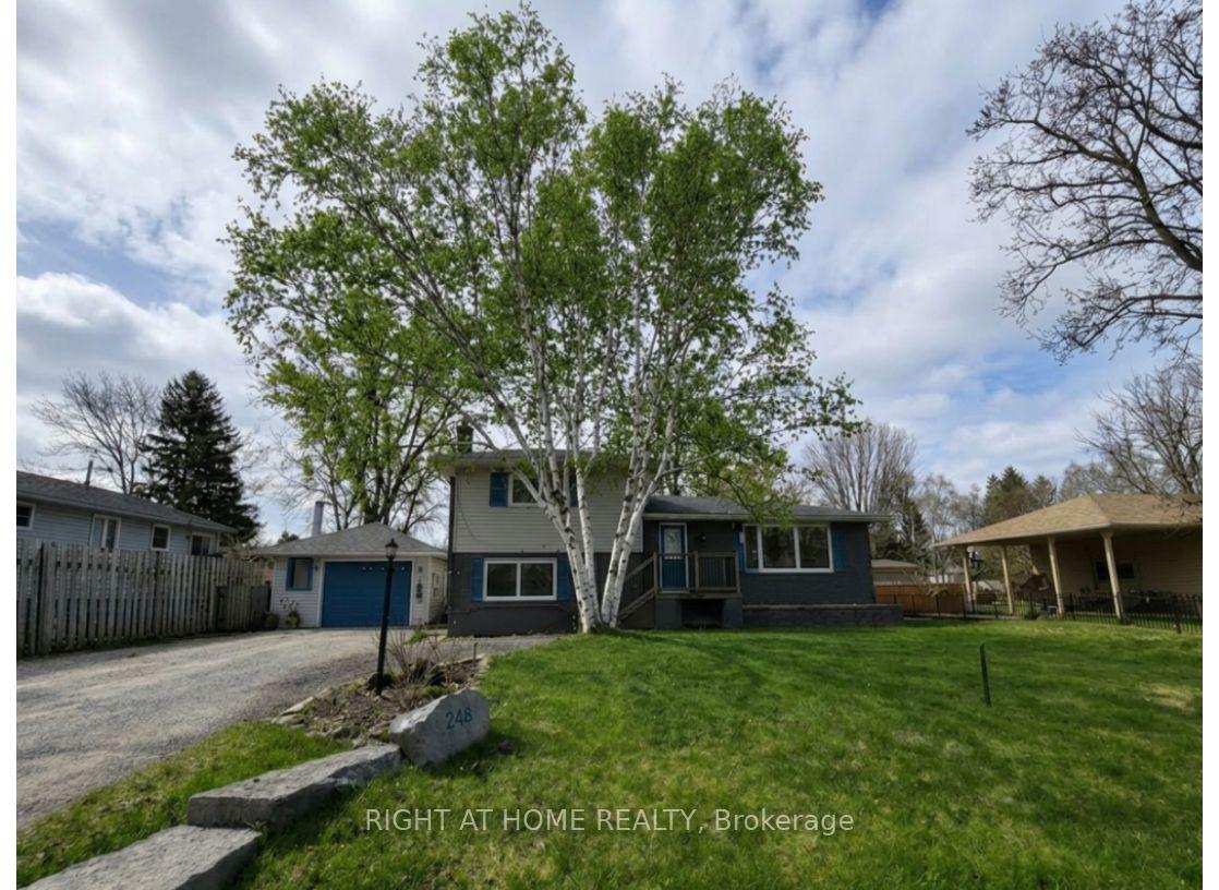 246-calford-street-essa-ontario-n12839724