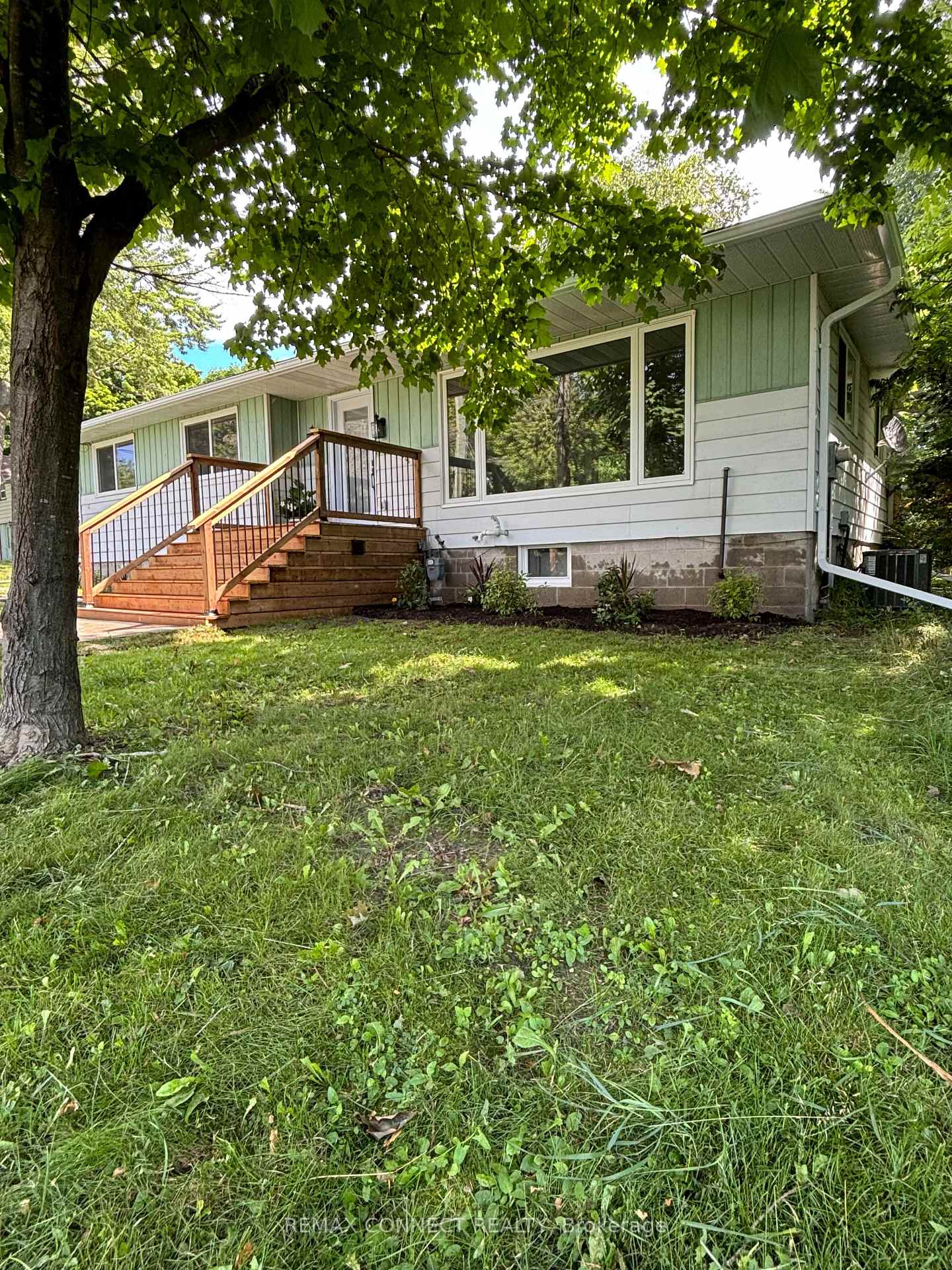 206-laidlaw-street-s-brock-ontario-n12839794
