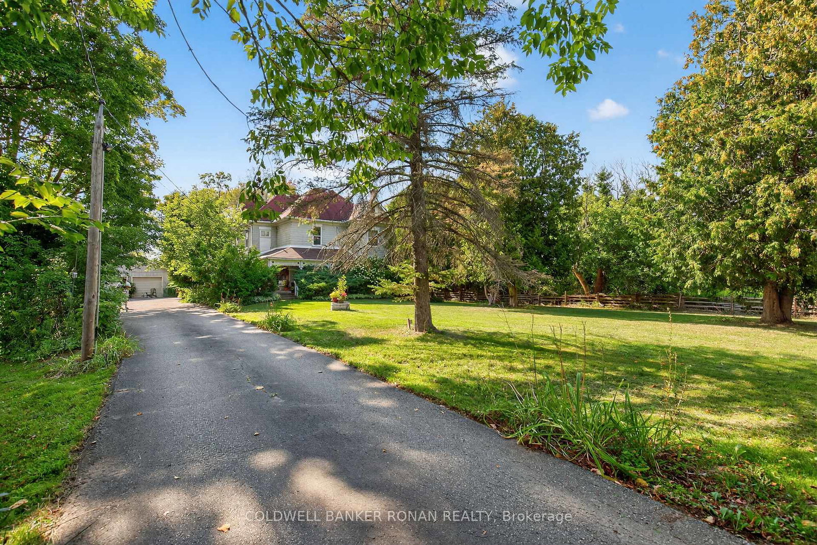 1516-17th-side-road-new-tecumseth-ontario-n12840336