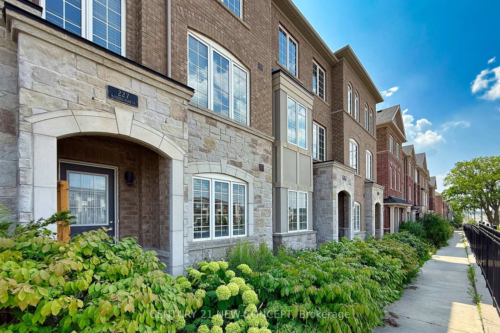227-harding-park-street-newmarket-ontario-n12849762