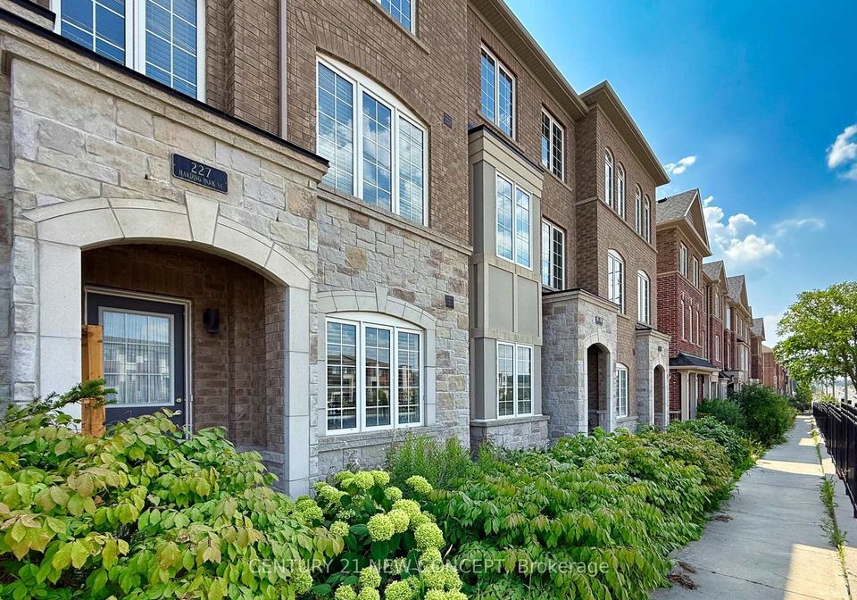 227-harding-park-street-newmarket-ontario-n12849762