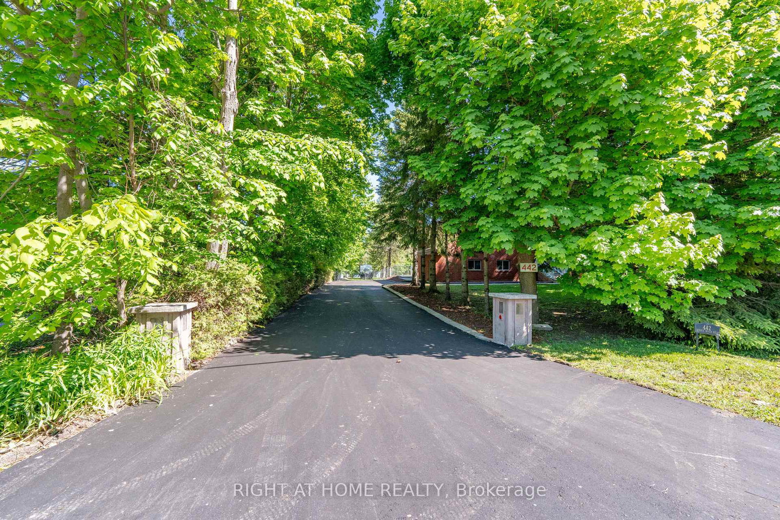 442-sunset-beach-road-richmond-hill-ontario-n12853002