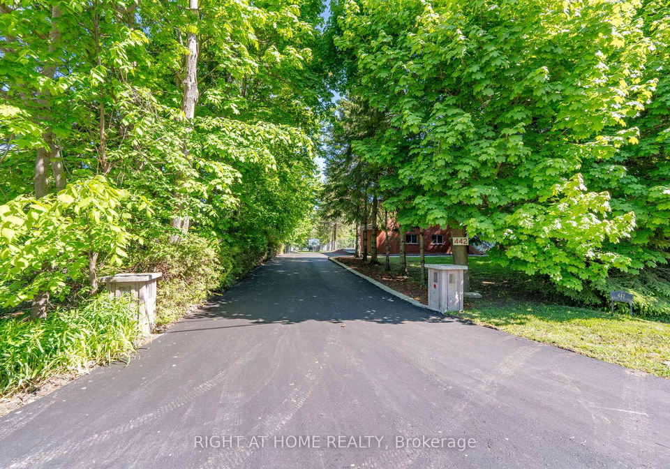 442-sunset-beach-road-richmond-hill-ontario-n12853002